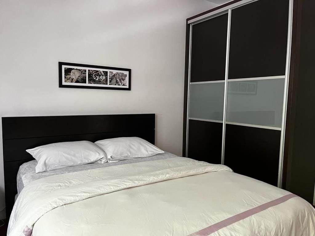 Condesa Residence Amsterdam D Sunny 2Bed 1Bath Apt In Condesa Мехіко Екстер'єр фото