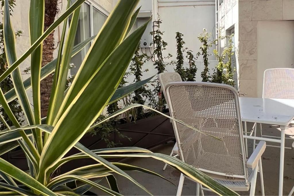 Condesa Residence Amsterdam D Sunny 2Bed 1Bath Apt In Condesa Мехіко Екстер'єр фото