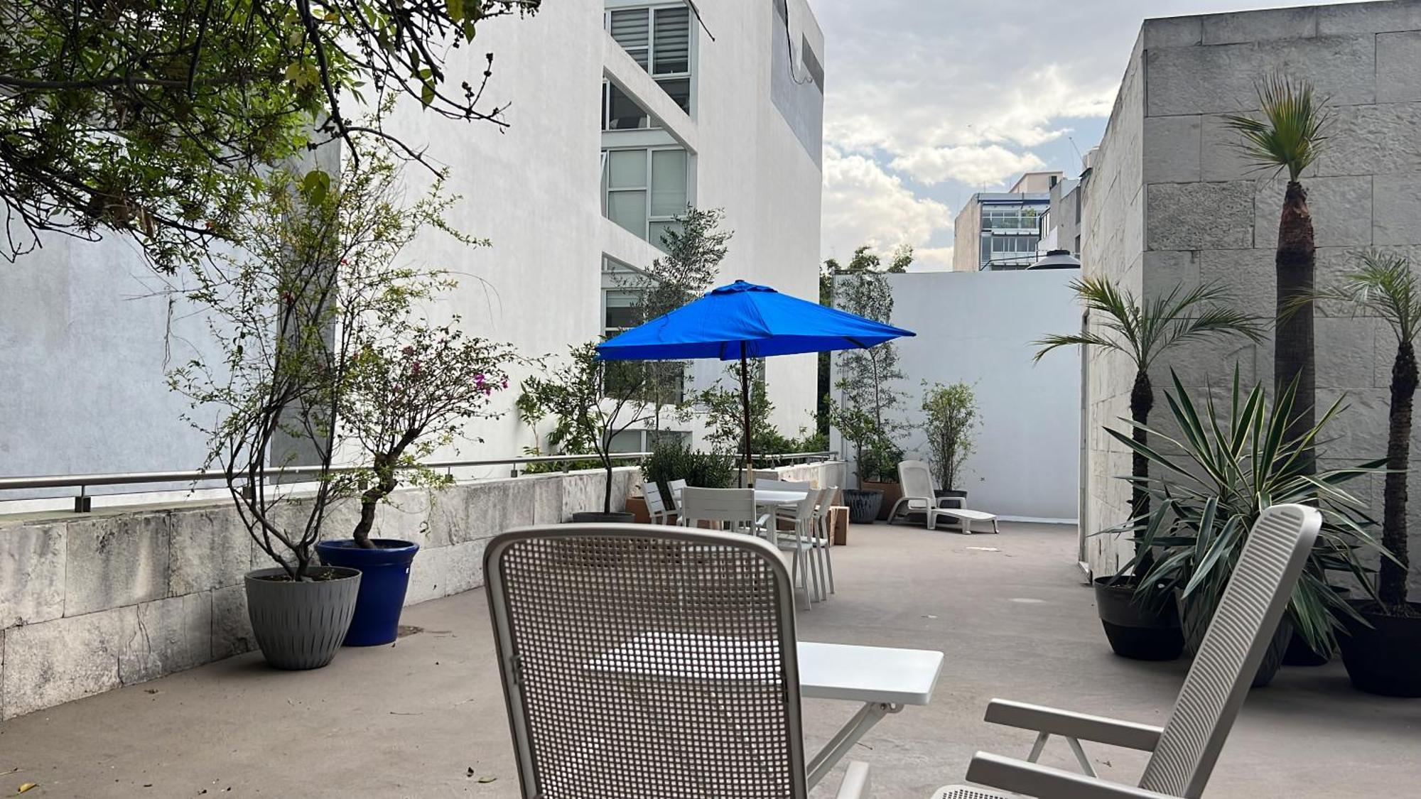 Condesa Residence Amsterdam D Sunny 2Bed 1Bath Apt In Condesa Мехіко Екстер'єр фото