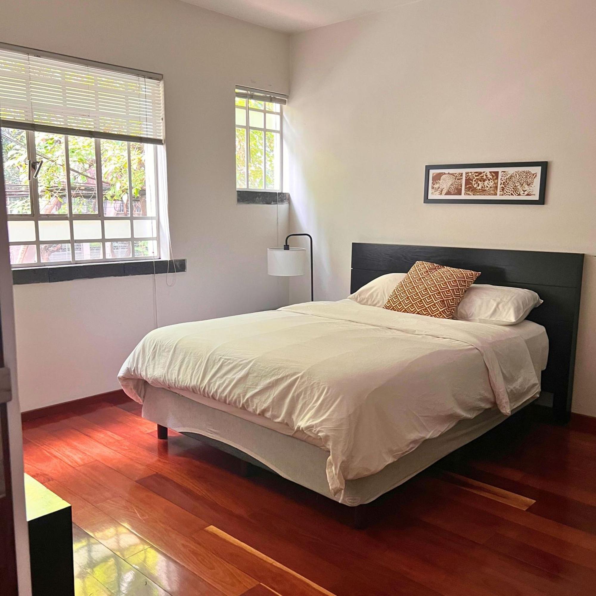 Condesa Residence Amsterdam D Sunny 2Bed 1Bath Apt In Condesa Мехіко Екстер'єр фото